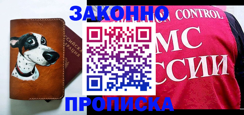 прописка 2025 в Купино